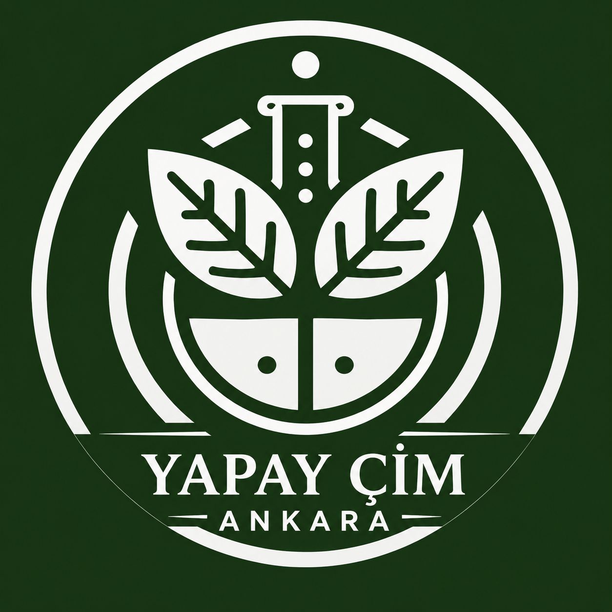 Ankara Yapay Çim